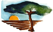 Paysage & Caillebotis