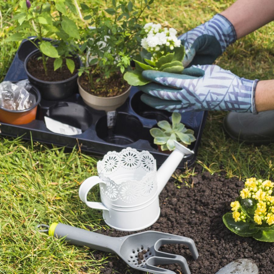 Création, entretien et aménagement de jardin Création, entretien et aménagement de jardin
